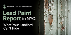 lead inspection services
